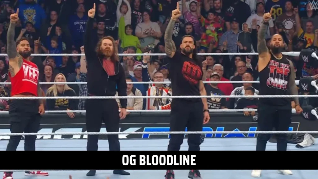 Fifth Member of New Bloodline Revealed for WWE Survivor Series WarGames 2024