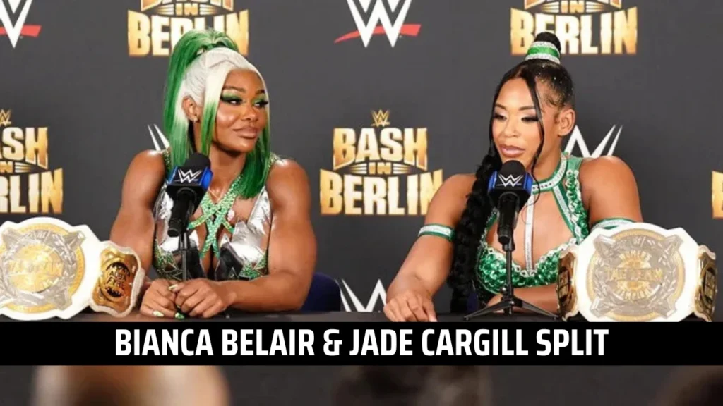 6 WWE SURVIVOR SERIES 2024 SURPRISES